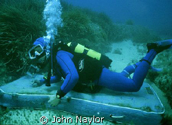 The sea bed. by John Naylor 